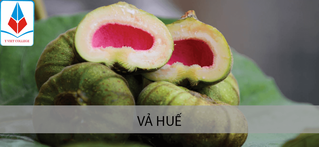 va-hue-mon-an-xu-Hue